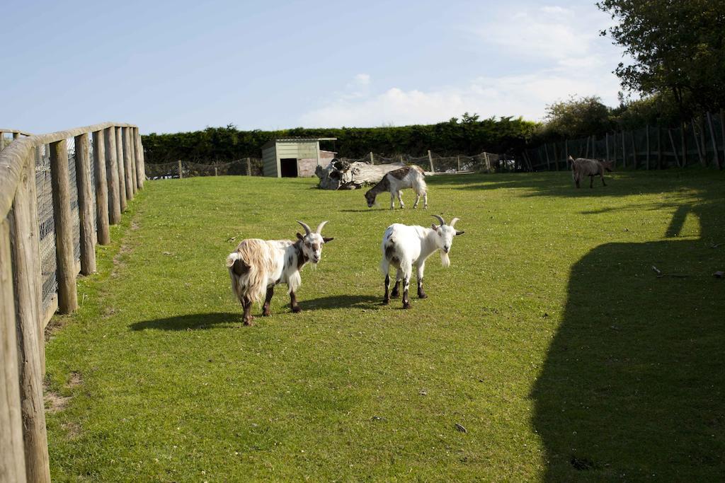 Wooda Farm Holidays بود المظهر الخارجي الصورة